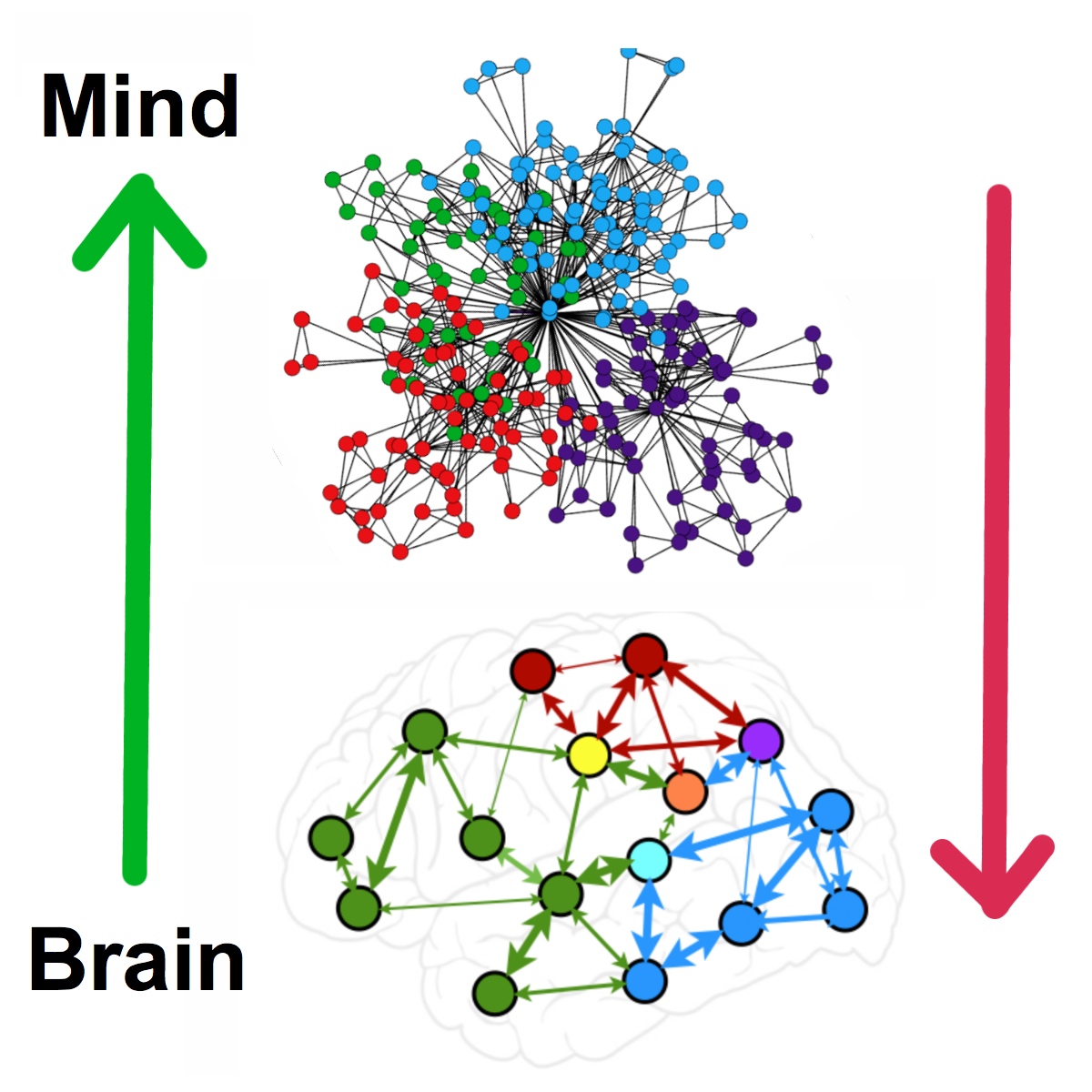 BrainToMindnets