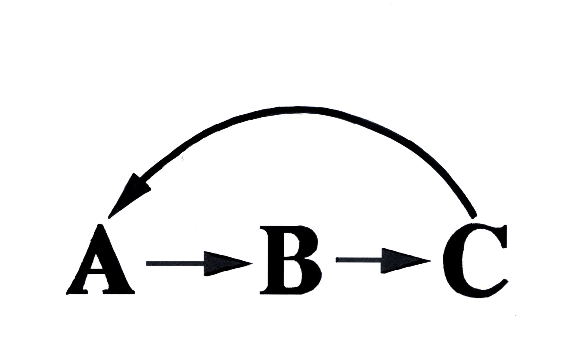 ABCfeedloop