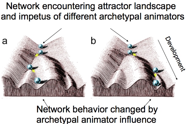 attractor-3D-net-animator-1