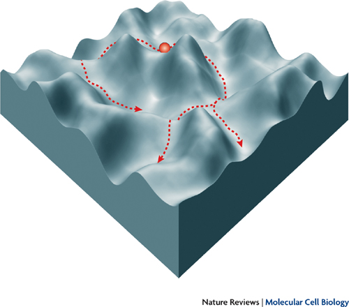 attractor-landscape-3D-mountains