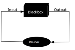 blackboxInOut