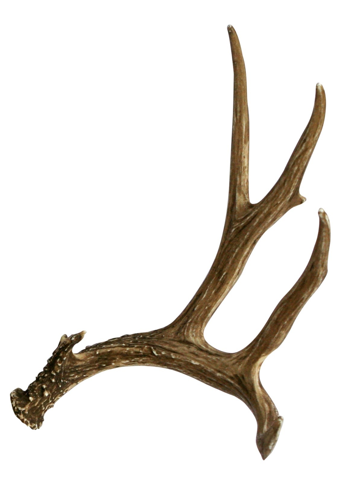 objects-normal-deer-antler