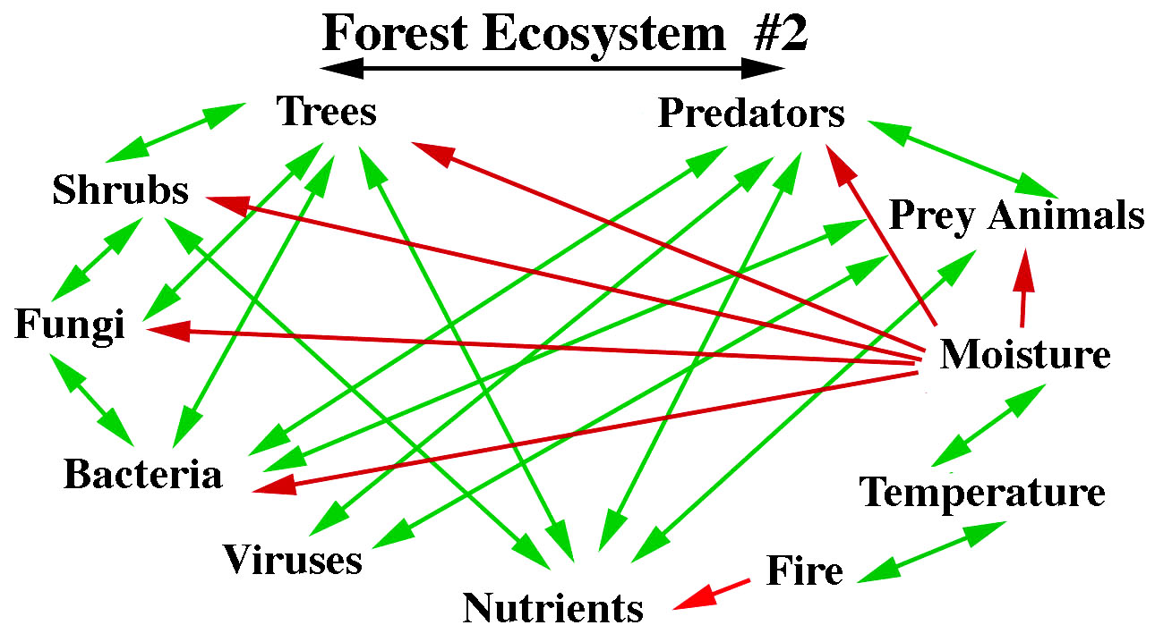 plot-forest-Const-2